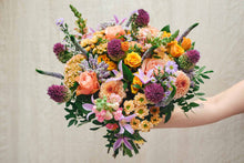 Load image into Gallery viewer, Soft Autumn