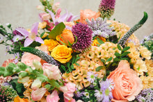 Load image into Gallery viewer, Soft Autumn