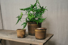 Load image into Gallery viewer, Honey Glazed Pot - Dia: 11cm, 13cm, 15cm, 20cm