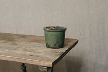Load image into Gallery viewer, Textured Green Pot - Dia: 11cm, 13cm, 15cm, 20cm