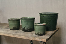 Load image into Gallery viewer, Textured Green Pot - Dia: 11cm, 13cm, 15cm, 20cm