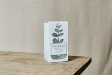 Load image into Gallery viewer, Olverum Bath Oil