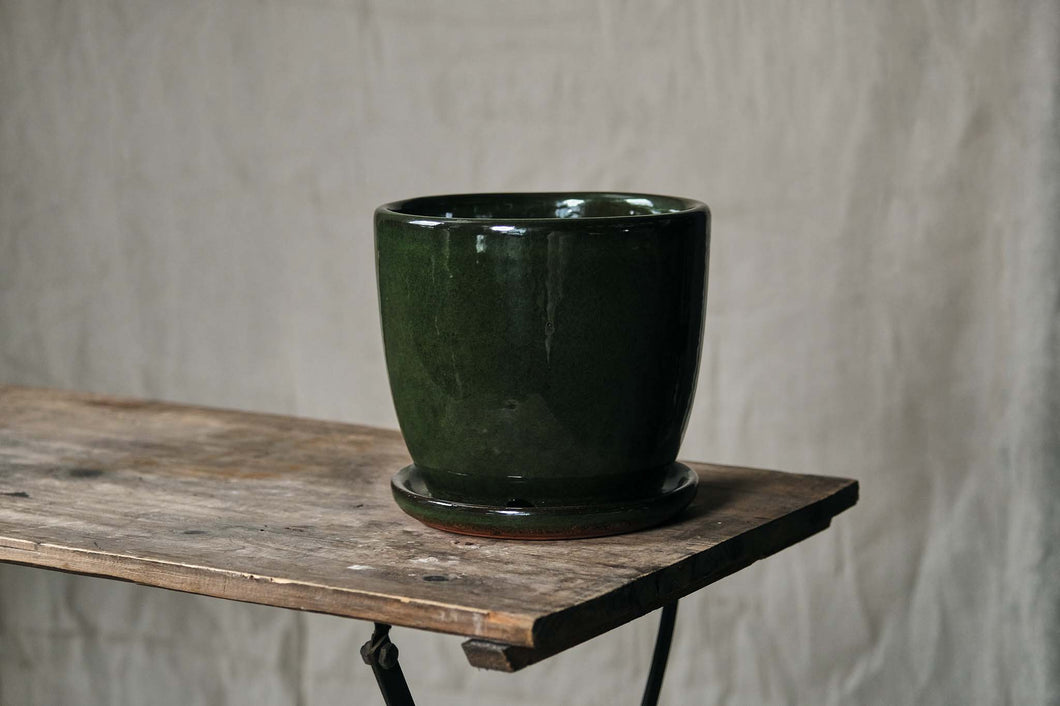 Forest Green Pot & Saucer - Dia: 20cm