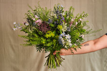 Load image into Gallery viewer, Wild Bunch