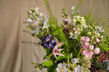 Load image into Gallery viewer, Wild Bunch