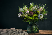 Load image into Gallery viewer, Wild Bunch