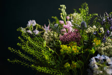 Load image into Gallery viewer, Wild Bunch