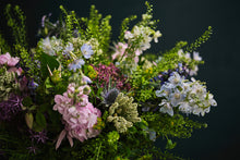 Load image into Gallery viewer, Wild Bunch