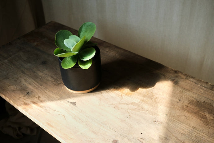 The key to understanding light in your home