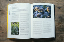 Load image into Gallery viewer, No Dig
