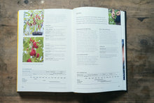 Load image into Gallery viewer, No Dig
