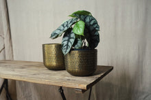 Load image into Gallery viewer, Aluminium Pot, Brass Finish - Dia: 15cm, 18cm
