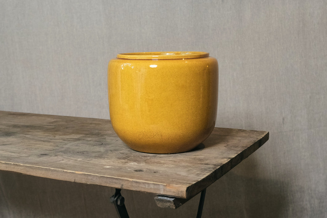 Rounded Pot in Mustard - Dia: 16cm