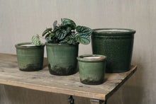 Load image into Gallery viewer, Textured Green Pot - Dia: 11cm, 13cm, 15cm, 20cm
