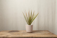 Load image into Gallery viewer, White &amp; Natural Drip Pot - Dia: 12cm
