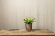Load image into Gallery viewer, Black &amp; Natural Drip Pot - Dia: 12cm
