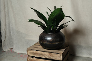 Reclaimed Iron Globe Pot - Dia: 21cm, 25cm