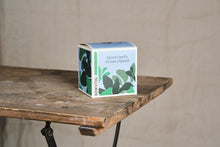 Load image into Gallery viewer, Spinach Grow Kit
