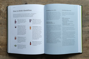 A Foragers Guide to Wild Drinks