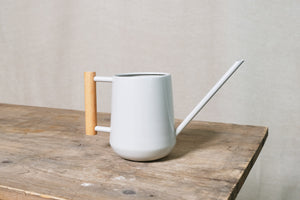 Indoor Watering Can
