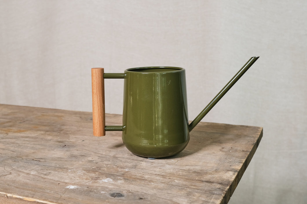 Indoor Watering Can