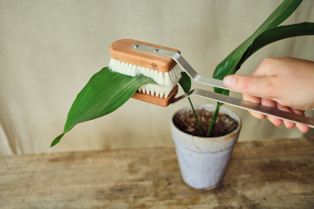 Houseplant Brush