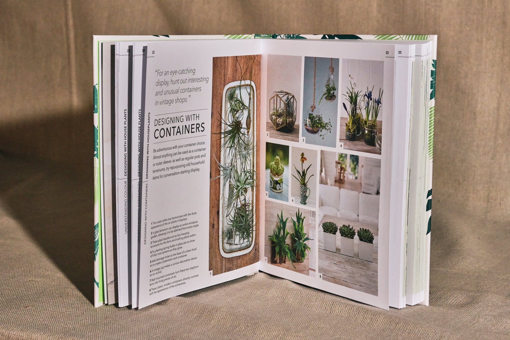 practical house plants Practical House Plant Book – Forest